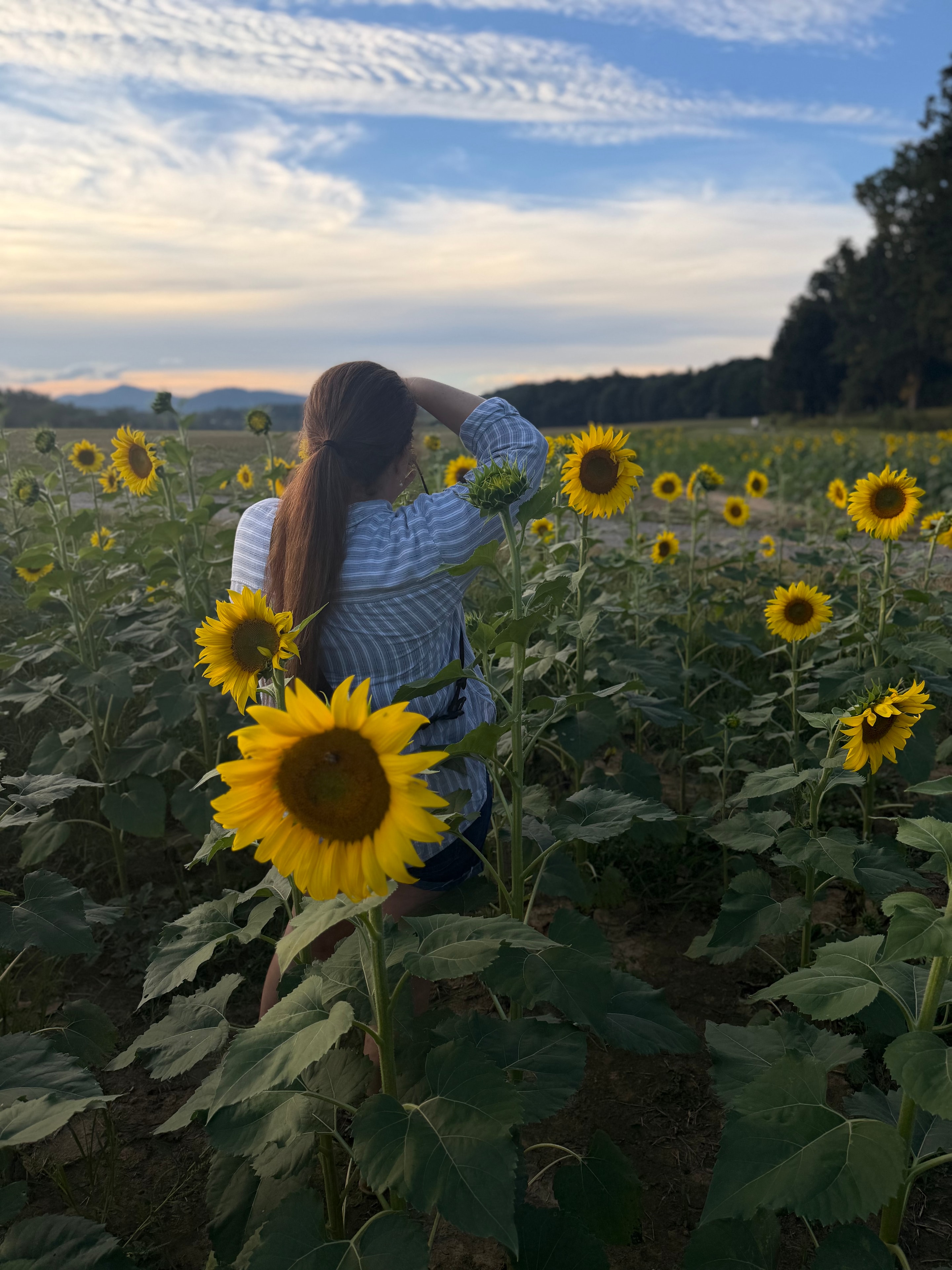 Bracken and Bloom photographer in outdoor setting